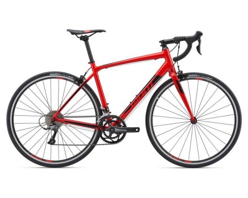 GIANT CONTEND 3 2019